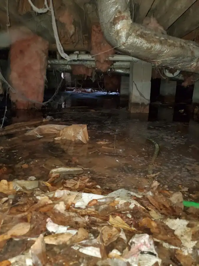 Crawl space flood assessment for Leak Detection & Repair in Tenafly